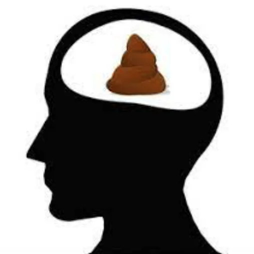 Information loop illustration